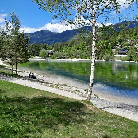 Les Chalet Kranjska Gora I Exteriér fotografie